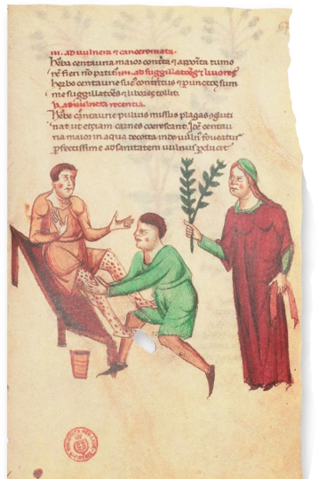 Medizin und Heilkunde - Ziereis Faksimiles Medikamenten-Lehre Friedrich II