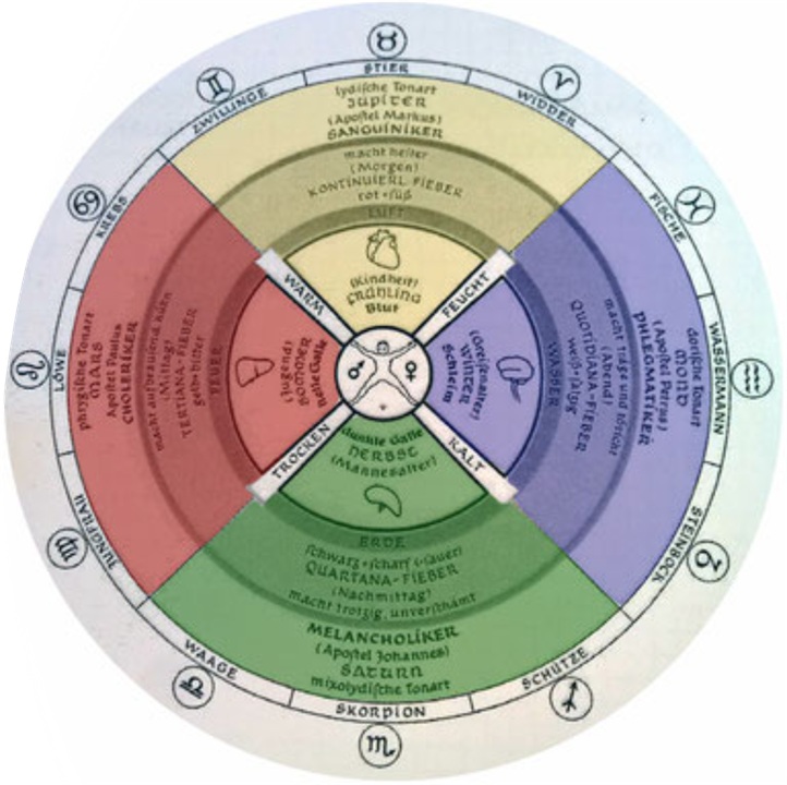 Der Mensch - beeinflusst durch den Mikro- und Makrokosmos